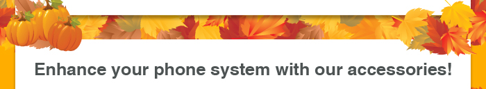 Enhance your phone system with our accessories!